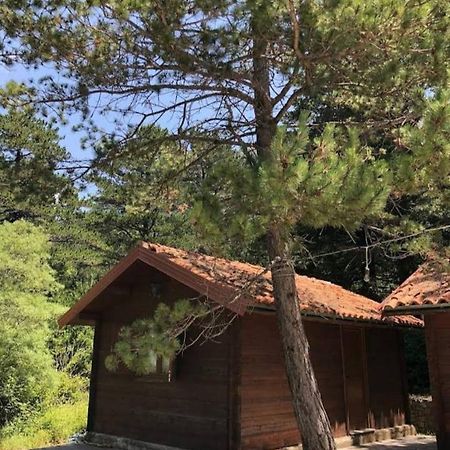 The Old Man'S Chalet Villa Dukat Buitenkant foto